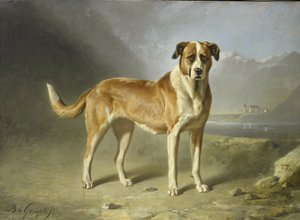 セントバーナード犬 作： Bernard te Gempt