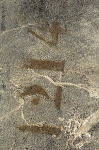 ルイ15世の箪笥、1740年頃（オルモルに取り付けられたチャイニーズブラック、ポリクローム、ギルトラッカー、蛇紋石、大理石、ヴェルニス） 作： Bernard van Risamburgh