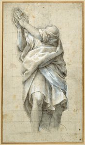 使徒のための習作（ペンと茶色のインクに白で盛り上げたもの 作： Bernardino Gatti