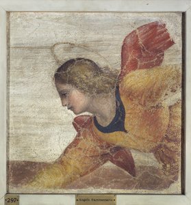 エンジェル 作： Bernardino Luini