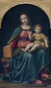 マドンナと子供 作： Bernardino Luini