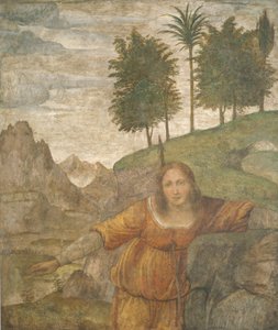 ケファルスのジャベリンで突き刺されたプロクリス、c。 15201522。 作： Bernardino Luini