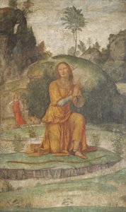 ダイアナへのプロクリスの祈り、c。 15201522。 作： Bernardino Luini