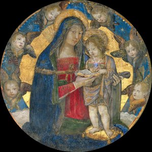 聖母子とケルビム、1492-1495。 作： Bernardino Pinturicchio