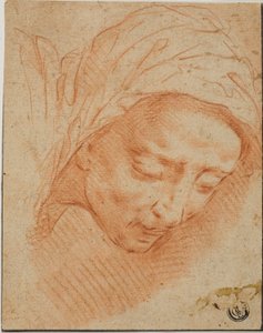 女性の頭部 作： Bernardino Poccetti