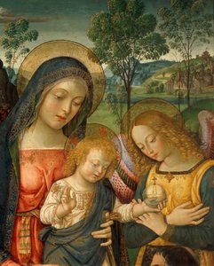 ベルナルディーノ・ピントゥリッキオ（1452年頃～1513年頃）の「平和の聖母」上部の詳細、パネルに油彩