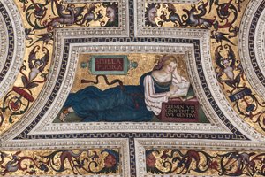 ペルシャのシビレ、「シビレ」の詳細（フレスコ画 作： Bernardino di Betto Pinturicchio