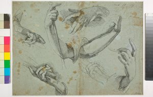 不明な画像 作： Bernardo Strozzi