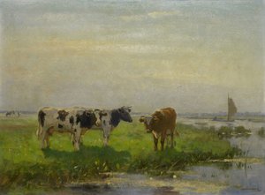 牧草地の牛