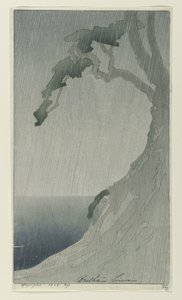 雨