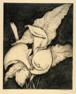 カラス 作： Bertha E. Jaques