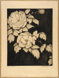 日本の牡丹 作： Bertha E. Jaques