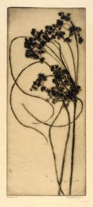 ウールグラス 作： Bertha E. Jaques