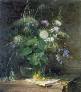 ガラス花瓶の野生の花 作： Bertha Wegmann