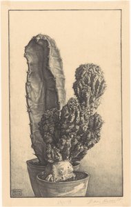 Caktussen (原題) 作： Bertha van Hasselt (signed by artist)