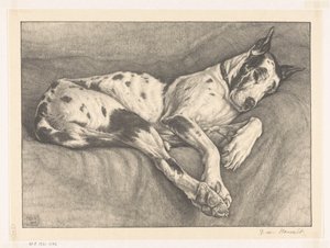 眠る犬 作： Bertha van Hasselt (signed by artist)