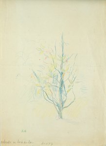 湖畔の茂み、1893年（紙に色鉛筆） 作： Berthe Morisot