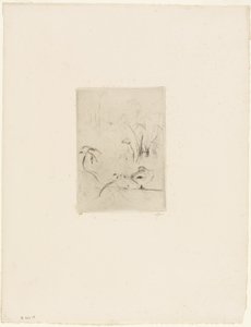 ザ・ダック 作： Berthe Morisot