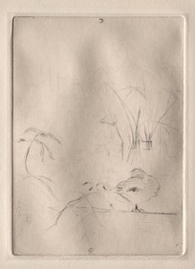 ダック、1888-90。 作： Berthe Morisot