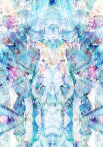 Serendipity, 2015（写真、イラストレーション、デジタル）