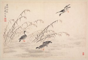 書道と絵画のアルバム、18世紀。 作： Bian Shoumin