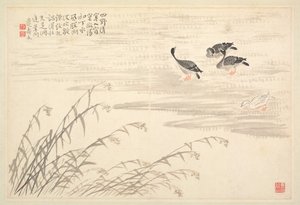 書道と絵画のアルバム、18世紀。 作： Bian Shoumin