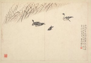 書道と絵画のアルバム、18世紀。 作： Bian Shoumin