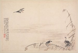 書道と絵画のアルバム、18世紀。 作： Bian Shoumin