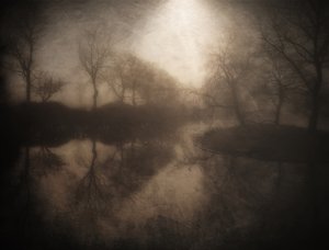 霧の森の映り込み 作： 