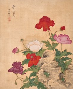  作： Bing Yun