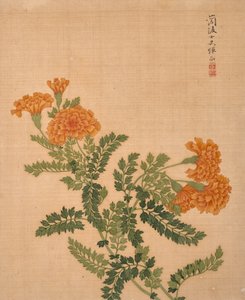 花のアルバム（絹本、インク、彩色）