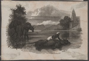 死んだ牛を運ぶ農夫たち、1850年頃（エングレーヴィング） 作： Blasius Höfel