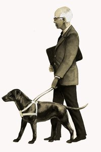 盲導犬