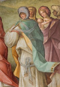中央身廊、北側第3スパン、訪問者、ボッカチーノBoccaccino 1516-17年、詳細 作： Boccaccio Boccaccino