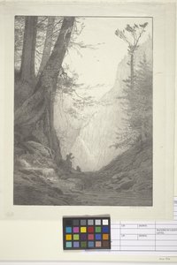 Big Cedars (紙にインク、リトグラフ) 作： Bolton Coit Brown