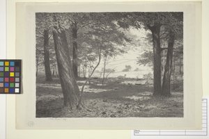 Edge Of The Woods (紙にインク)