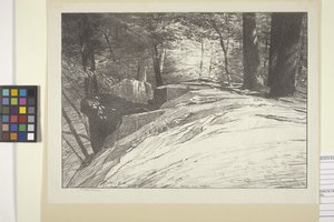 岩と木 (紙にインク) 作： Bolton Coit Brown