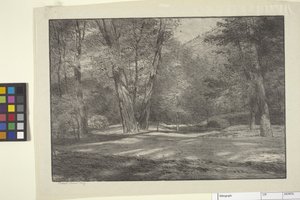 Sierra Woods (muste paperille) 作： Bolton Coit Brown