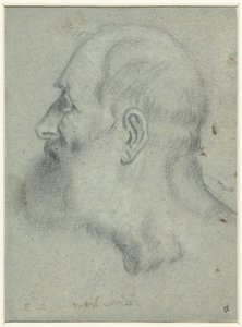 ひげを生やした男の頭、左側の横顔 作： Bonifazio Veronese (attributed to)