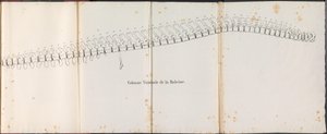 クジラの背骨、1827年 Colonne Vertébrale de la Baleine (オブジェクトのタイトル)