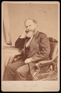 ジョン・エンジェル・ジェームズ・クレスウェルの肖像、1828-1891年、1891年以前。 作： Brady