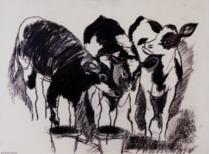 新しい子牛（紙に木炭） 作： Brenda Brin Booker