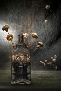  作： Brig Barkow