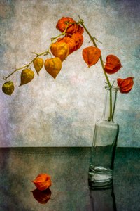  作： Brig Barkow