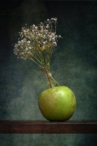  作： Brig Barkow