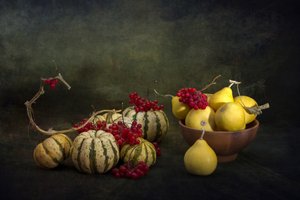  作： Brig Barkow