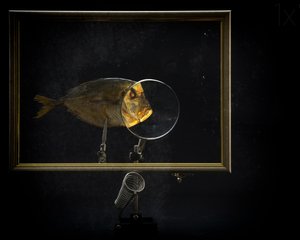  作： 