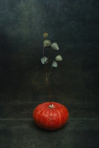  作： 