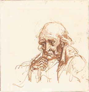老人の頭 作： British 19th Century