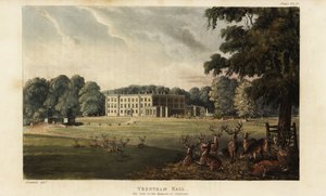 トレンサムホール前の鹿の群れ 作： British School